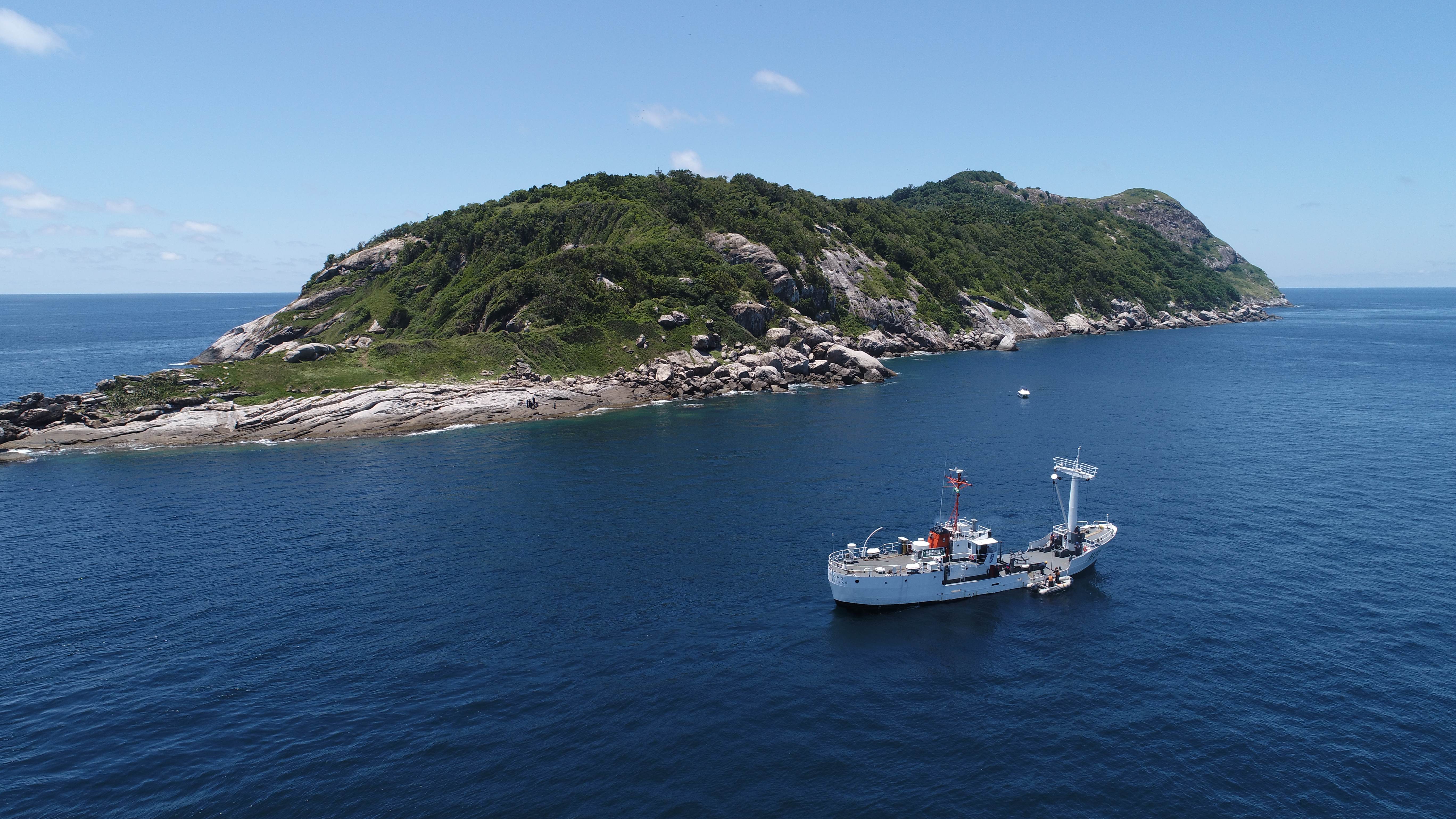 Ilha da queimada grande